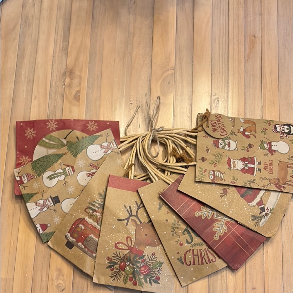 Festive Holiday Gift Bags Set